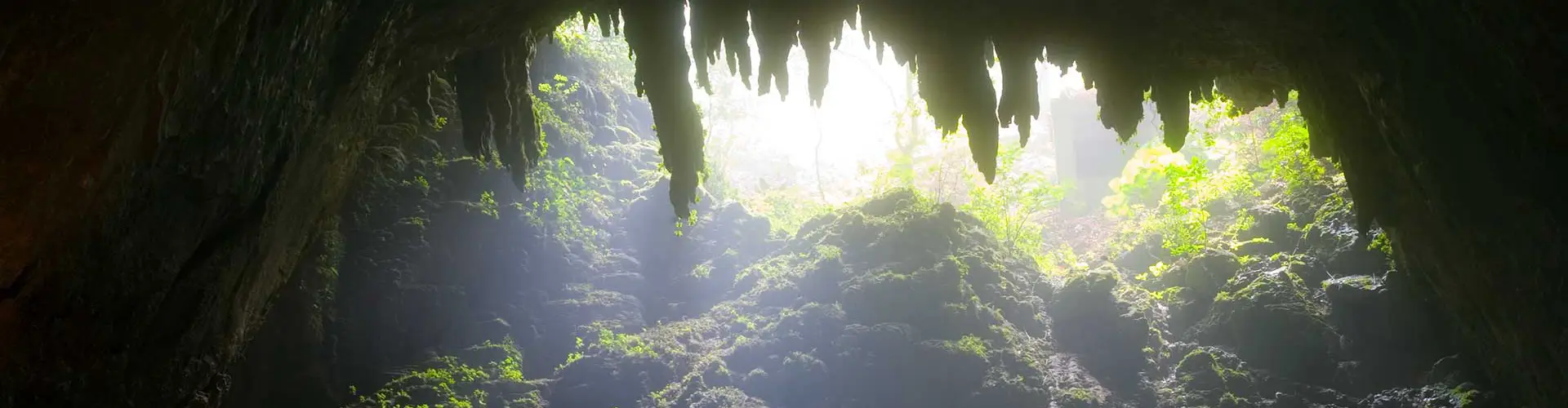 Rio Camuy Cave Park