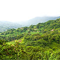 Caguas