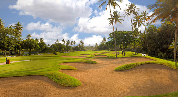 Bahia Beach Plantation Golf Course photo