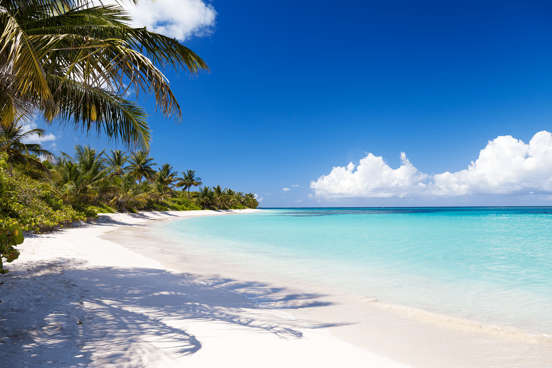 Flamenco Beach