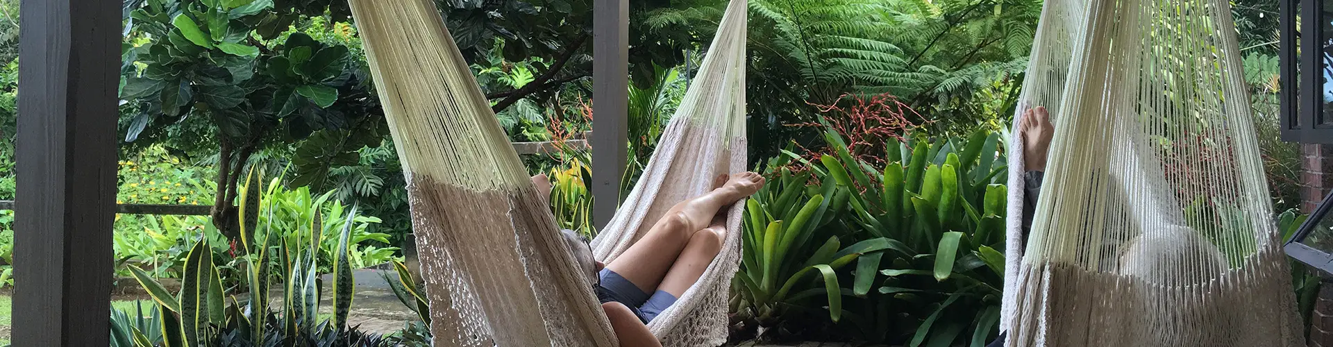 Photo by Rainforest Inn