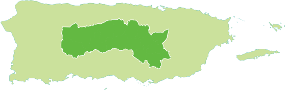 Central Region